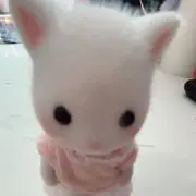 カメ