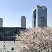 SHINTAROの画像