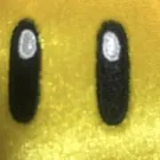 ひだまりの画像