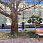 はやみの画像
