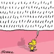 はるこの画像