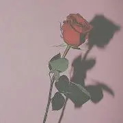 mの画像