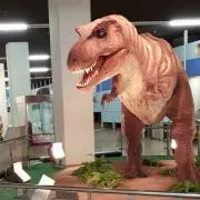 ぴよ
