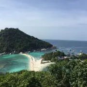 ミーの画像