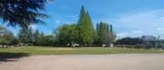 ブコの画像
