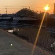 miiの画像