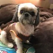 ポッカ