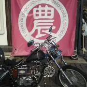ジャズ君