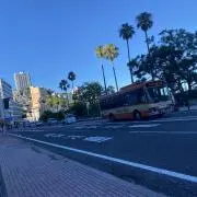 セプテンバーさんの画像