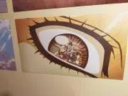☆tomoc★プロフィール参照の画像