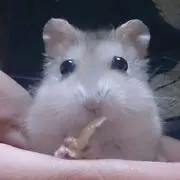 あっちゃん