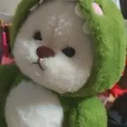 アンちゃんの画像