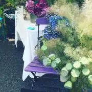 Pentaの画像