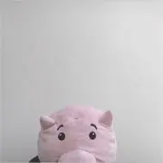 ありさの画像