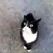 LSB