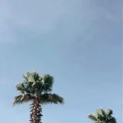 sunny(フォロー割アリ)の画像