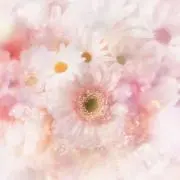 雛姫の画像