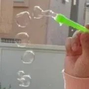 鳩の画像