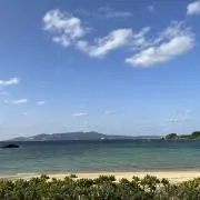 E-taro☆彡【夏物値下げ中】
