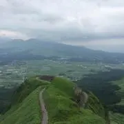 たか