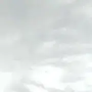 Tの画像