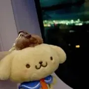 バオ▶︎プロフィール必読◀︎の画像