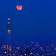 ぴさん断捨離中☆の画像