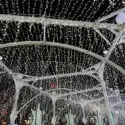 mintojamuの画像