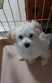 かんべ★気持ち良いお取引を