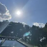 なおの画像