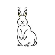 ぽん　グッズ整理中の画像