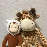 ちゃんナモの画像