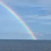 なかむらの画像