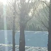 さとまりの画像