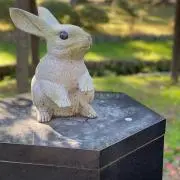 なーちゃの画像