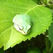 青の洞窟の画像
