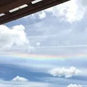 めぅ