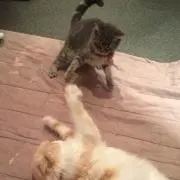 ひろみん