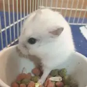 YKAS♡の画像