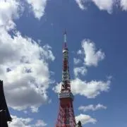 (o・∇・o)    即購入お願いしますの画像