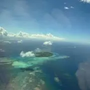アロハ2006の画像
