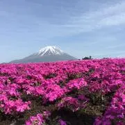 し*読様 日プ新世界 コンセプト評価直筆サイン入りチェキ 小笠原 ジュゼッペ 慧 し*読様 日プ新世界 コンセプト評価直筆サイン入りチェキ 小笠原