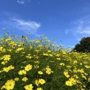 まぁーちゃんの画像