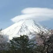 ゆさの画像