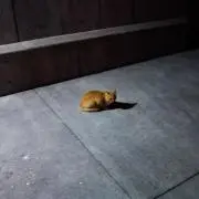 kの画像