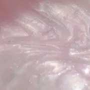 ミソの画像