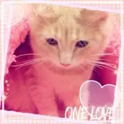 Cocoaの画像