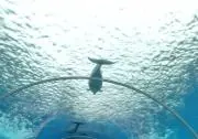 くろ