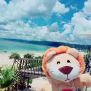 ちゅんたの画像