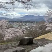 フッ軽オバさんの画像